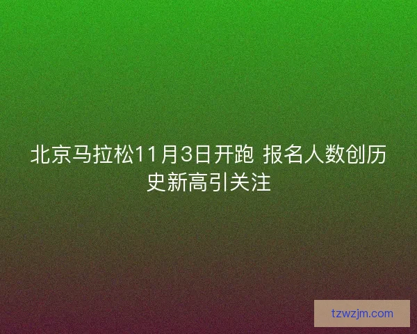 北京马拉松11月3日开跑 报名人数创历史新高引关注